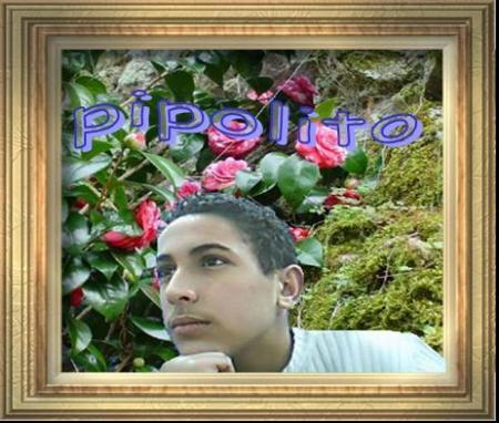 pipolito