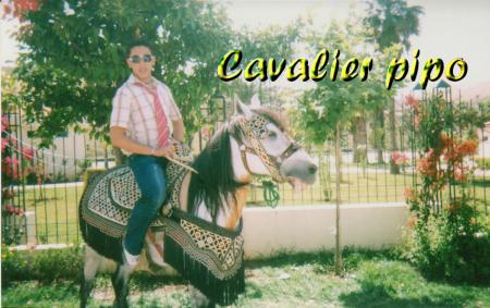 cavalier pipolito
