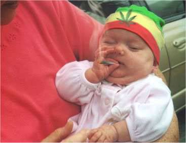 hachicha