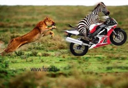 a sebeeeeeeek