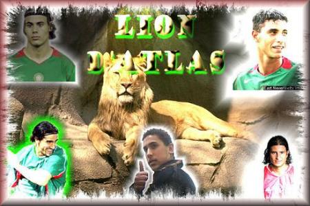 lion d'atlas