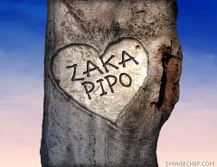 zakapipo